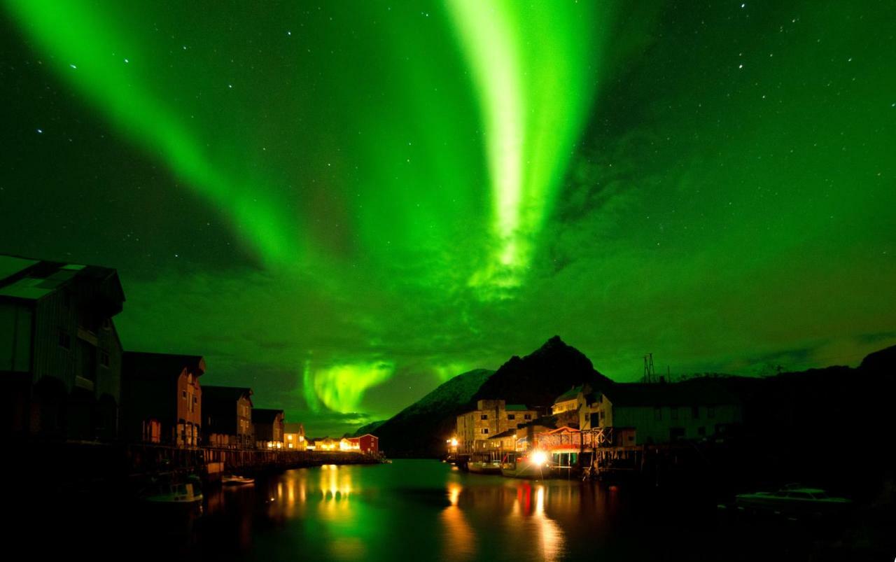 Appartement, Brygge * Nyksund